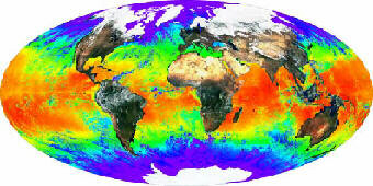 global-forum